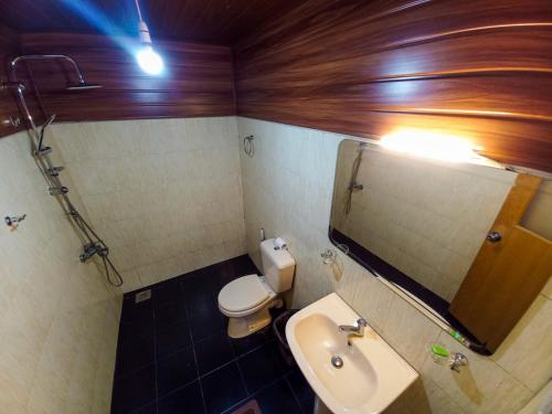 a bathroom with a sink and a toilet and a mirror at Ella Happy View Homestay in Ella