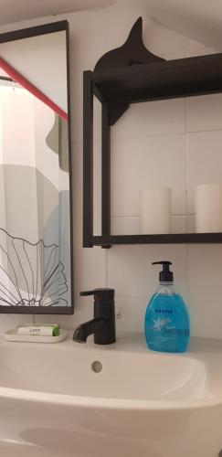a bathroom sink with a mirror and a bottle of soap at Zusy in Orebić