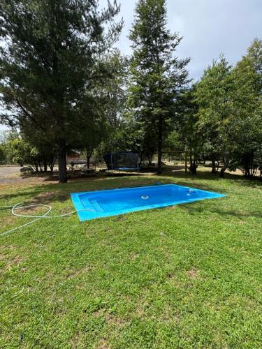 a blue swimming pool in the grass with trees at Pucon Villarrica Aldea Molco in Molco