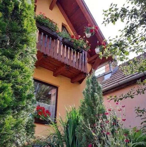 a house with a balcony with potted plants on it at Pensiunea Lali Madaras Ciuc in Mădăras