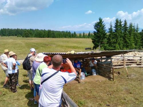 a man taking a picture of a group of people at Pensiunea Lali Madaras Ciuc in Mădăras