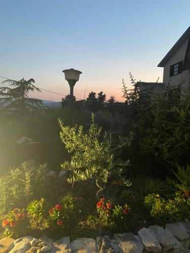 Сад в A casa di Rita