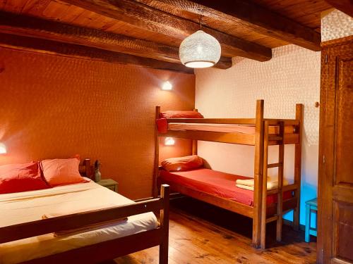 a bedroom with two bunk beds and a ladder at Le Refuge de Castagnols in Vialas