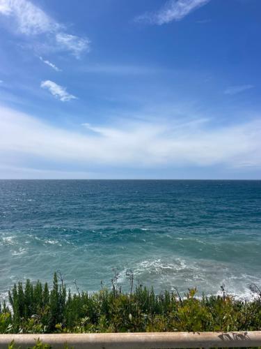a view of a large body of water at Bistrot del mare in Santo Stefano al Mare