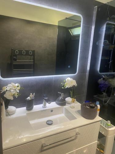 La salle de bains est pourvue d'un lavabo et d'un grand miroir. dans l'établissement APP RDC GRANDE TERRASSE 43 m2 air-conditioned apartment MAX 6 PEOPLE, à Vallauris