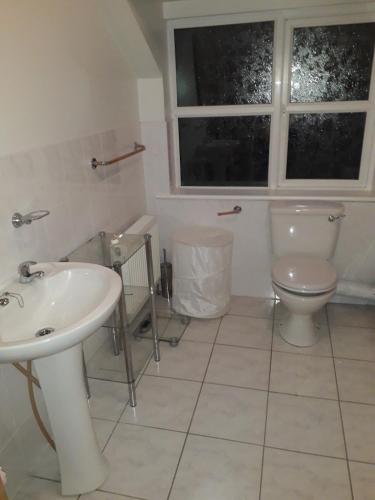 a bathroom with a sink and a toilet and a window at mature 4 bedroom home with relaxing garden and wonderful views in Carlow