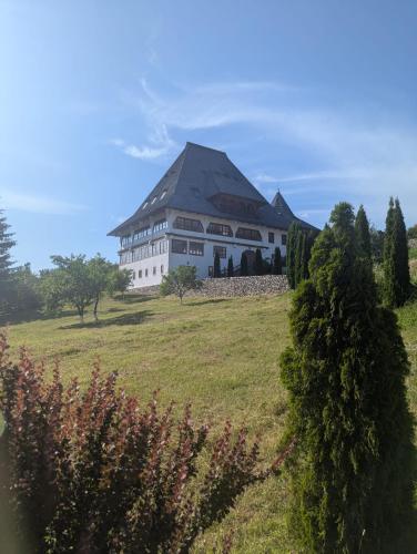 a large white building on a grassy field at Vila Bârsana in Bîrsana