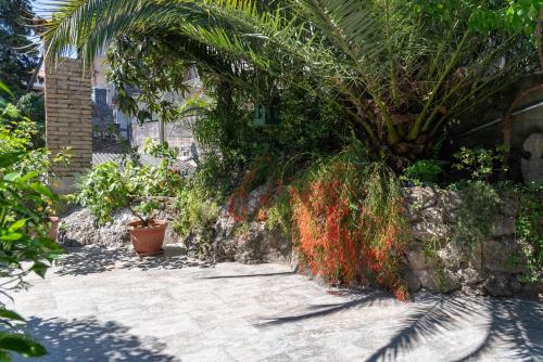Panoramico Apartment Opatija