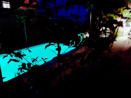 a dark picture of a pool at night at Apartments Kegalj in Podstrana