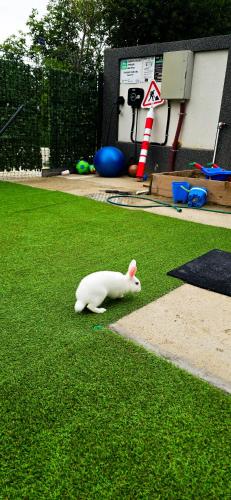 a toy white cat laying on the grass at AmurResidence 64 Sauna Parking Barbeque in Iaşi