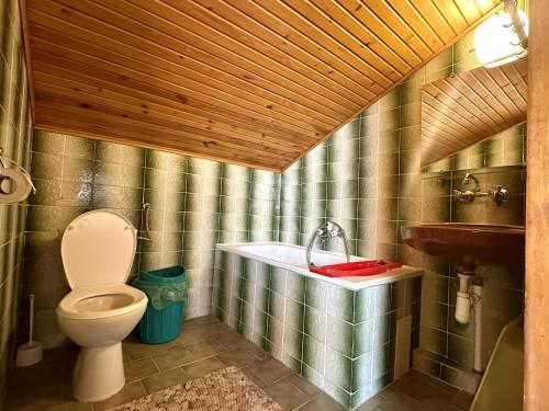 a bathroom with a toilet and a sink at Gościniec Bolero in Szklarska Poręba