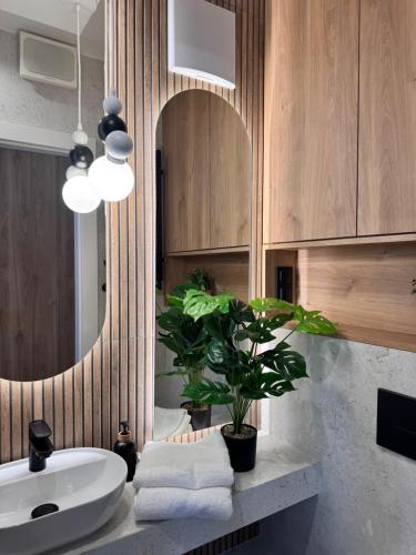 Phòng tắm tại Family & Business Apartments PREMIUM SPA No 3 - 2 Bedroom with Private Jacuzzi, Balcony, Parking