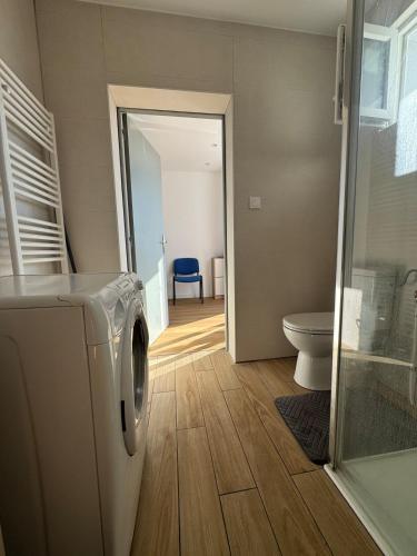 ein Badezimmer mit Waschmaschine und Toilette in der Unterkunft Chaleureux studio central in La Roche-sur-Yon