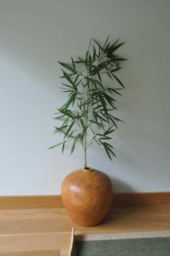 a plant in an orange vase on a table at Casas Vale Martinho in Santa Comba Dão