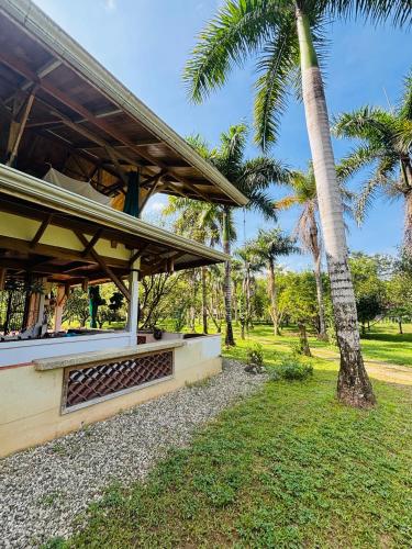 Zahrada ubytování Eco Lodge near Corcovado, 400m to Beach on a Peaceful Private Reserve