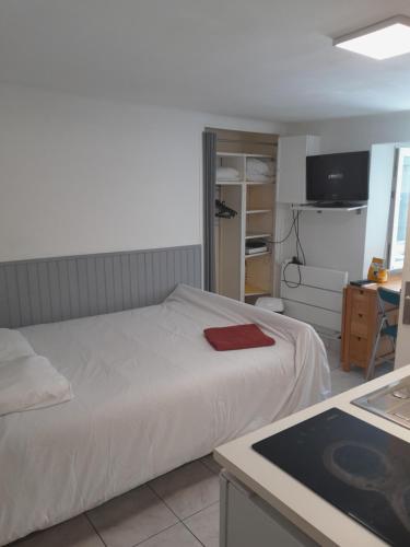 Studio Nantes centre, meublé et équipé