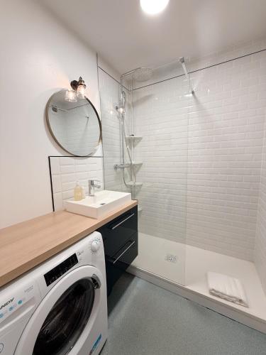 une machine à laver dans une salle de bain avec un lavabo dans l'établissement Appartement tout confort avec parking, Aquarium, à La Rochelle