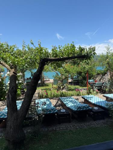 Ein Garten an der Unterkunft Guest House Lin