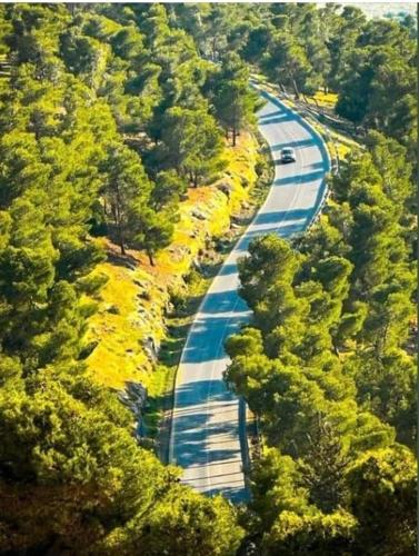 a winding road in the middle of a forest at شاليه بانا جرش in Jerash
