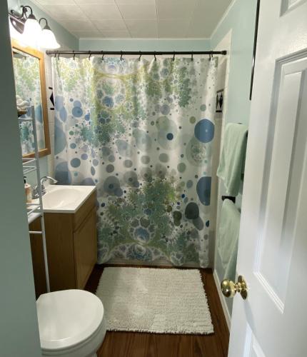 a bathroom with a shower curtain and a toilet at Arctic Paradise B&B in Seward