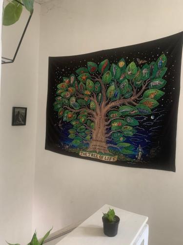 Fotografie z fotogalerie ubytování Habitación, 2, privada, aire, Ceiba v destinaci Cúcuta