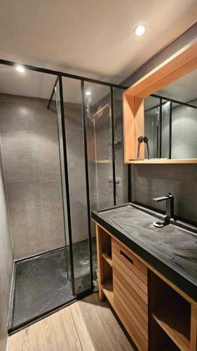 a bathroom with a shower and a sink at Appartement proche Futuroscope in Chasseneuil-du-Poitou