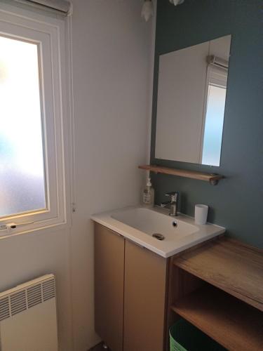 une salle de bain avec un lavabo et un miroir dans l'établissement Mobil Home 710 Bora Bora 3 chambres, à Gastes