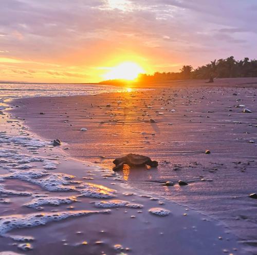 a sunset on a beach with the tide coming in at Villa Milagro in Parrita