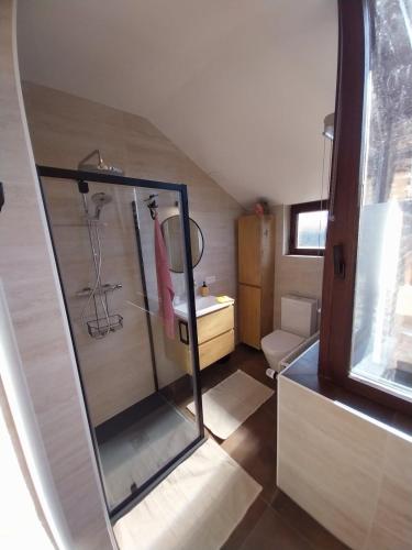 a small bathroom with a shower and a sink at Entre temps et pavés in Huy
