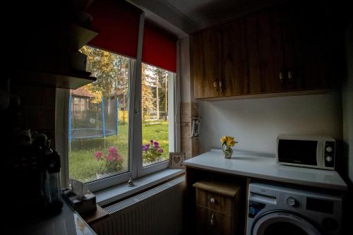 Η κουζίνα ή μικρή κουζίνα στο Casa Izvoru Mureșului
