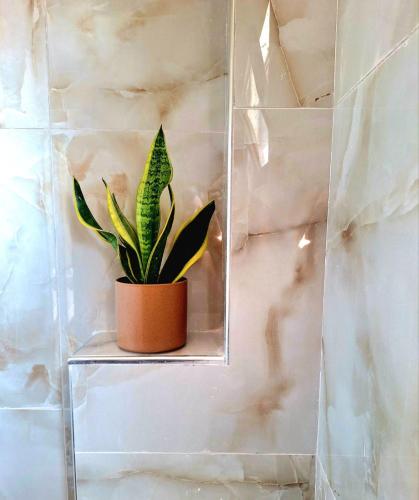 a potted plant sitting on a shelf in a wall at Anastasia Chalatsogianni Rooms in Paralia Panteleimonos