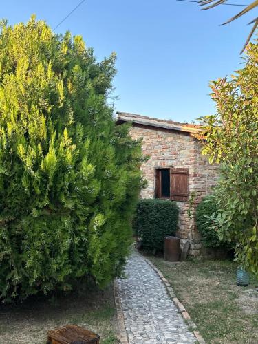 Marina Oasis Apartments