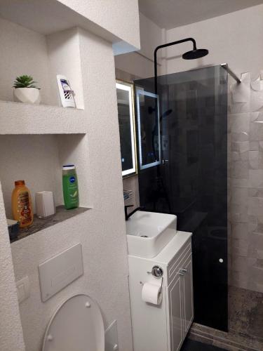 a bathroom with a shower and a toilet and a sink at Ovidiu's dream in Constanţa