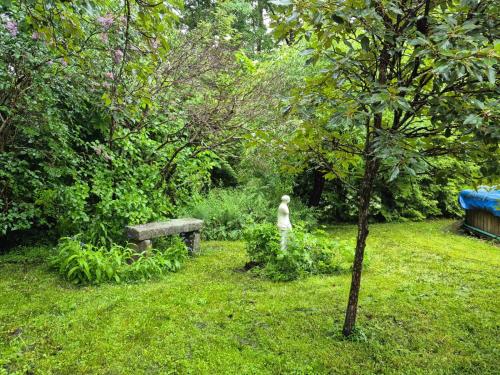 a park with a bench and a dog in the grass at Ferienhaus mit viel Charme in Lunde