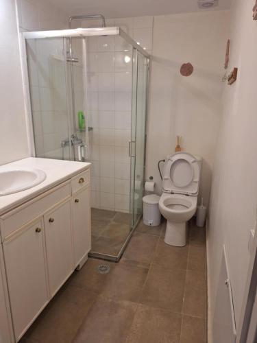 a bathroom with a shower and a toilet and a sink at Villa Constantinos in Koutsounari