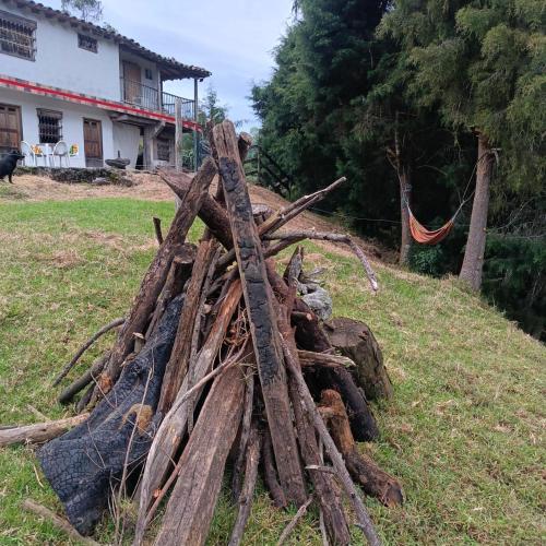 a pile of wood on the grass in front of a house at DORMITORIOS - BAÑO y TV in Guarne