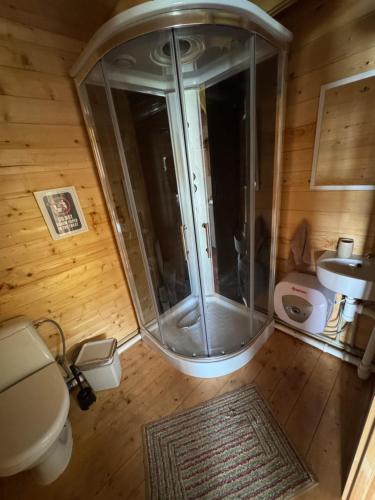 a bathroom with a shower and a toilet and a sink at Jazinka Sunrise 2 in Apšenieki