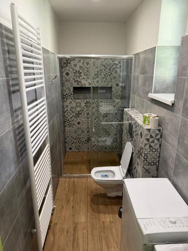 a small bathroom with a toilet and a shower at Chalupa Sofi in Liptovská Kokava
