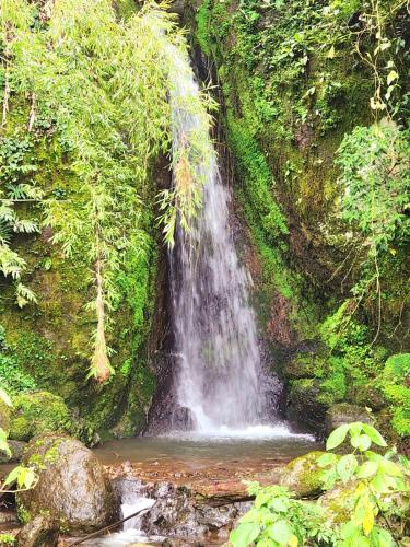 a waterfall in the middle of a lush green forest at Mi Paraiso Escondido, Tamesis in Támesis