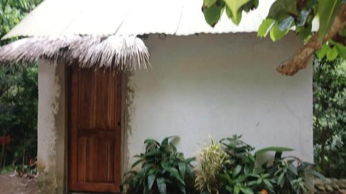 圣玛尔塔La Cima Tayrona的相册照片