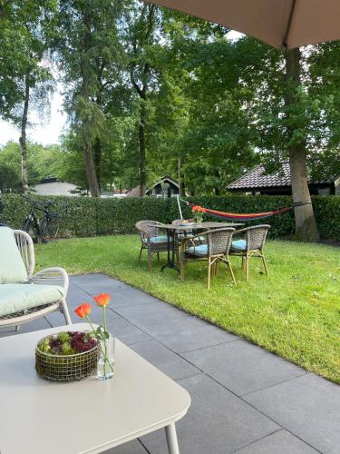 a patio with a table and chairs in a yard at Ferienhaus 4 Personen bei Giethoorn, Chalet in Holland in De Bult