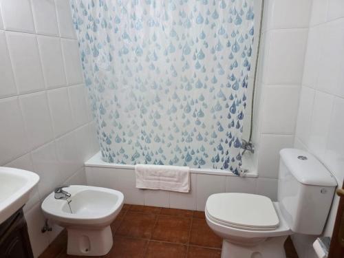 a bathroom with a toilet and a shower curtain at Casa Luz in Playa Santiago in Alajeró