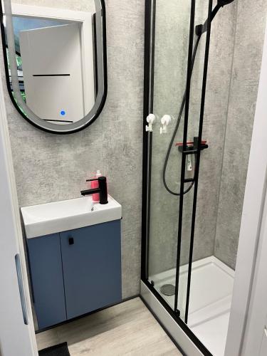 a bathroom with a shower and a sink and a mirror at Domek Nadwiślański in Przypust