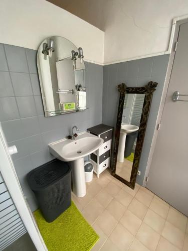une salle de bain avec un lavabo et un miroir dans l'établissement Charmant T1 plein centre Corte au 13 cours paoli wifi gratuit calme lumineux, à Corte