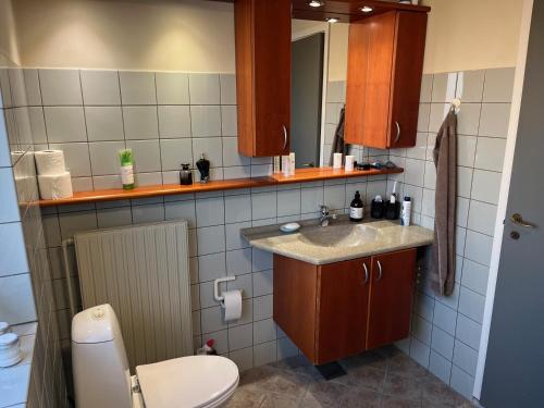 Koupelna v ubytování Herning Nord - Tjørring B&B