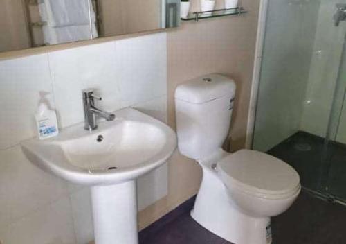 a bathroom with a white toilet and a sink at Russell-Orongo Bay Holiday Park in Russell