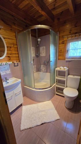 a bathroom with a shower and a toilet and a sink at Domek Wałowa 21 in Rewa