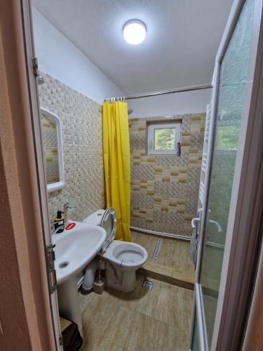 ein Badezimmer mit Toilette, Waschbecken und Dusche in der Unterkunft Mountain FIsh in Bicaz