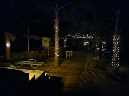 a patio with lights and a palm tree at night at Casa Liberdade in Faro