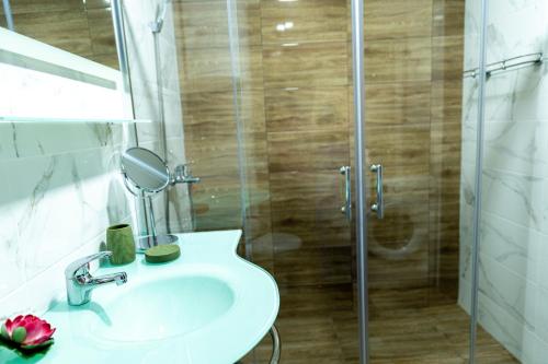 Family Suite One-Bedroom with Kitchen في ساينت قسطنطين وهيلينا: حمام مع حوض ودش